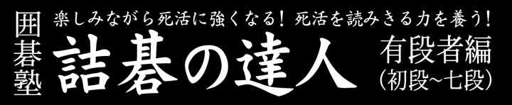 囲碁塾　詰碁の達人　有段者編 