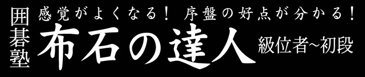 囲碁塾　布石の達人 